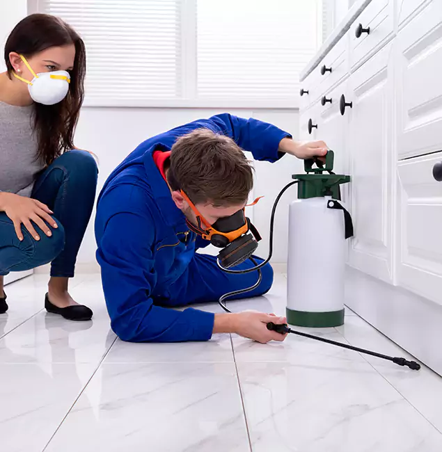 Why Choose North Fort Myers Pest Control Pro in North Fort Myers, FL?