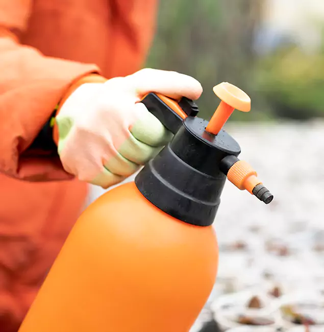 Why Choose North Fort Myers Pest Control Pro for Orange Termite Treatment in North Fort Myers, FL?