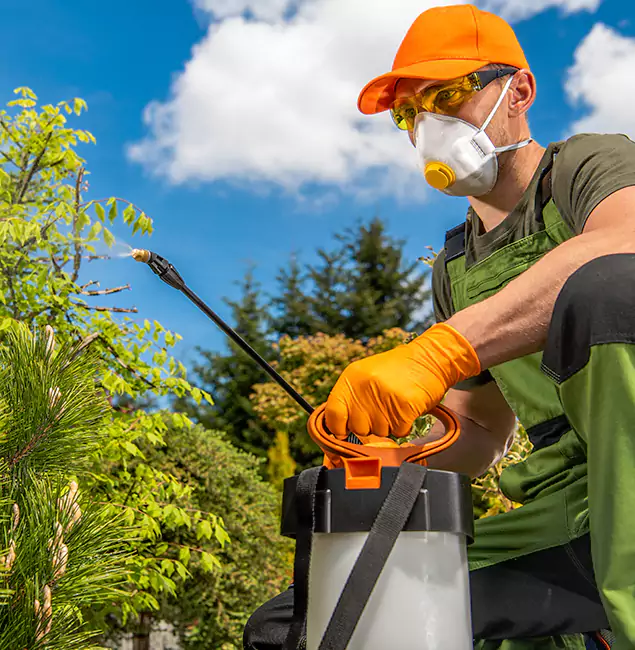 Why Choose North Fort Myers Pest Control Pro for Outdoor Pest Control in North Fort Myers, FL?