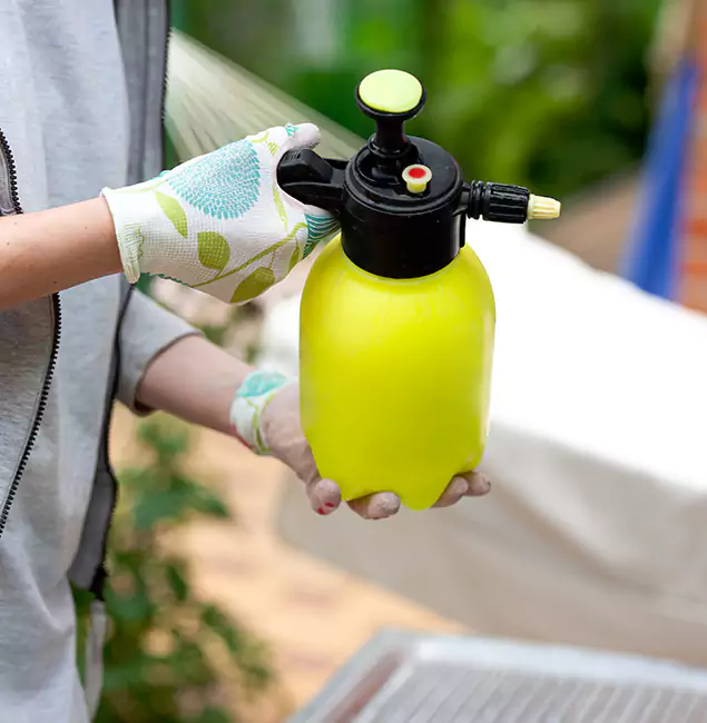 Why Choose Us: North Fort Myers Pest Control Pro Termite Spraying Experts in North Fort Myers, FL?
