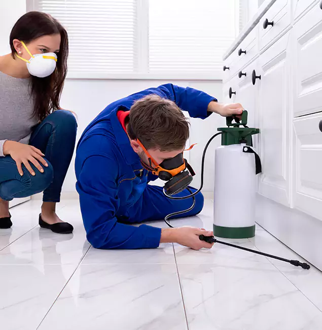 Why Choose Wood Termite Treatment by North Fort Myers Pest Control Pro in North Fort Myers, FL?