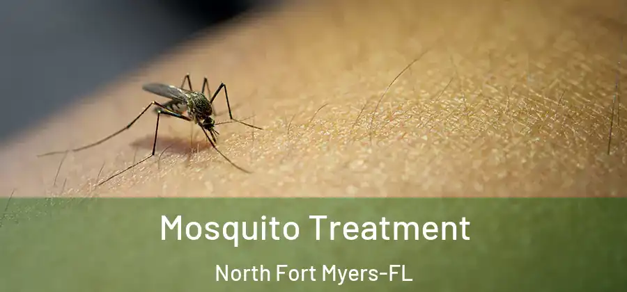 Mosquito Treatment North Fort Myers-FL
