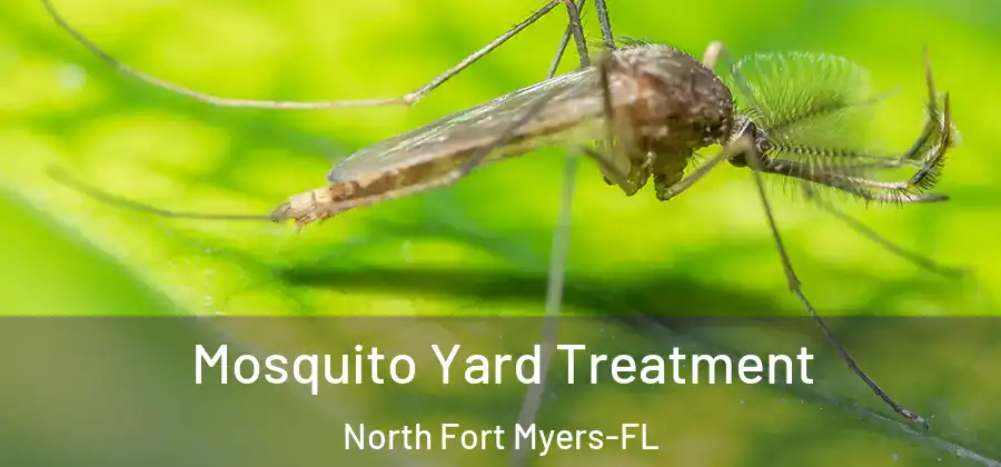 Mosquito Yard Treatment North Fort Myers-FL