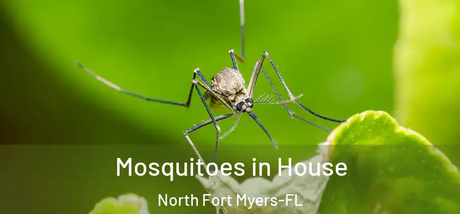 Mosquitoes in House North Fort Myers-FL