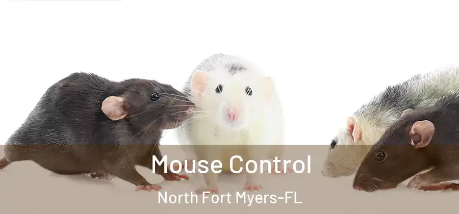 Mouse Control North Fort Myers-FL