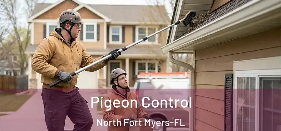 Pigeon Control North Fort Myers-FL