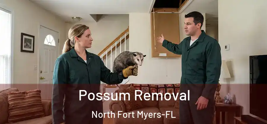 Possum Removal North Fort Myers-FL