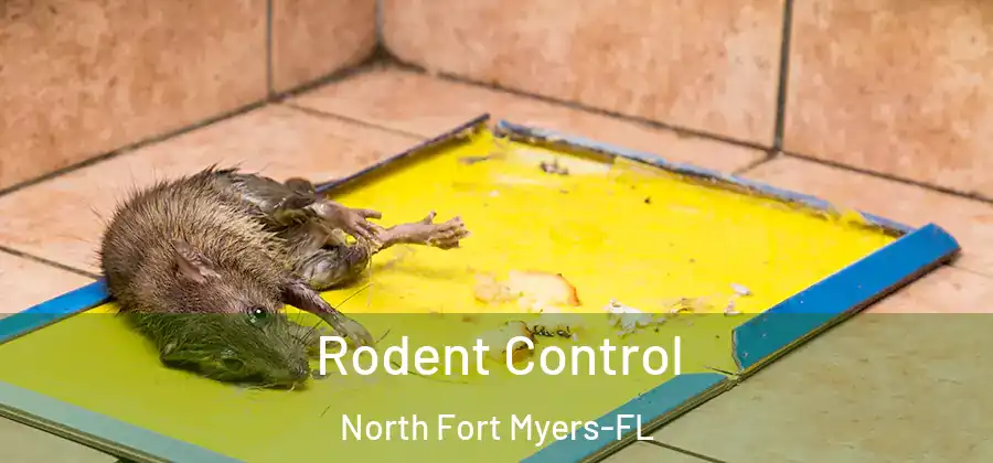  Rodent Control North Fort Myers-FL