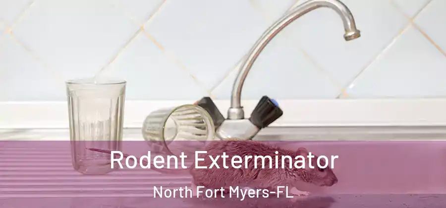 Rodent Exterminator North Fort Myers-FL