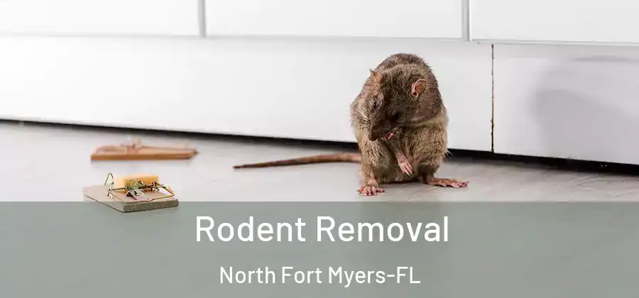Rodent Removal North Fort Myers-FL