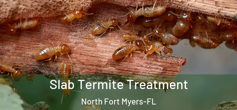  Slab Termite Treatment North Fort Myers-FL