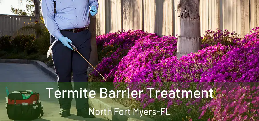 Termite Barrier Treatment North Fort Myers-FL