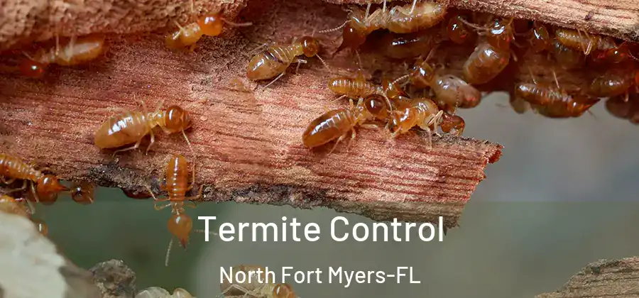 Termite Control North Fort Myers-FL
