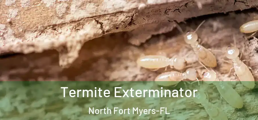 Termite Exterminator North Fort Myers-FL