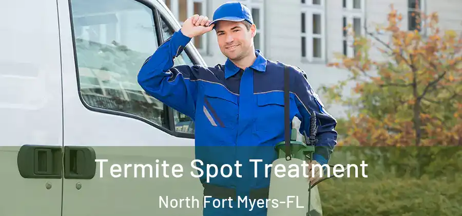  Termite Spot Treatment North Fort Myers-FL