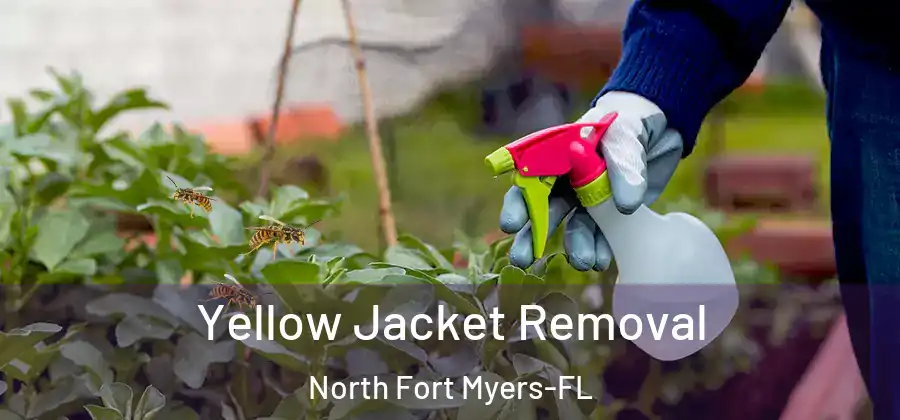 Yellow Jacket Removal North Fort Myers-FL